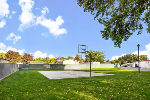 Alyson Manor Basketball Court